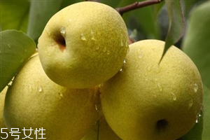 晚上吃梨子會(huì)胖嗎？梨不能和開(kāi)水一起吃