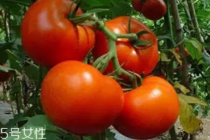 空腹不能吃什么？這4種最好不要吃