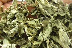 艾葉水可以洗外陰嗎？可以起到殺菌的作用
