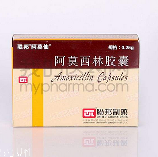 阿莫西林好還是阿奇霉素好？消炎藥哪家強