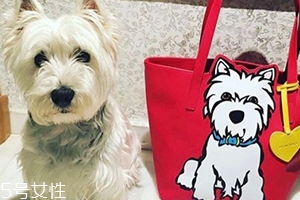 marc tetro是什么牌子？美國(guó)高性?xún)r(jià)比包包品牌