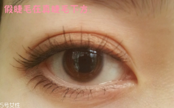 假睫毛是一次性的嗎？假睫毛可以重復(fù)使用