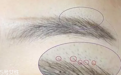 自然不做作的毛流眉怎么畫？紋理清晰有弧度