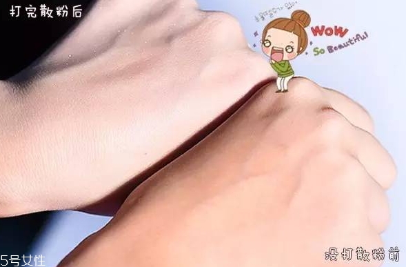 紀(jì)梵希散粉和悅詩風(fēng)吟散粉哪個好？
