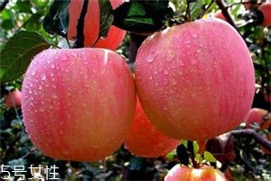 空腹吃蘋果好不好？一天最多吃幾個蘋果？