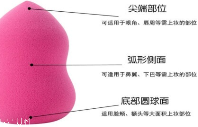 立體化妝粉撲有哪些用途？小身材大功效