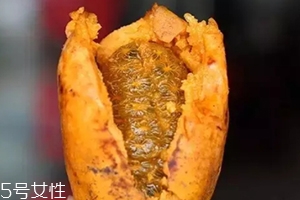 牛卵坨籽可以吃嗎？看看它的神奇功效
