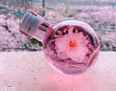 奈良金箔櫻花酒多少錢？奈良櫻花酒好喝嗎