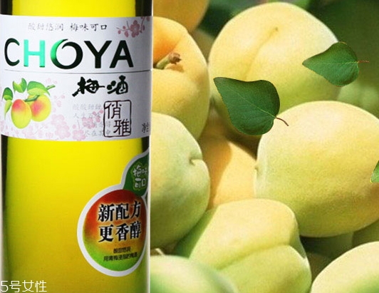 choya梅酒多少錢？多少度？