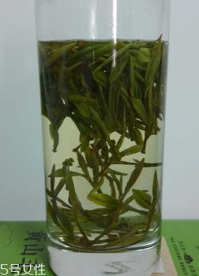 黃山毛峰多少錢(qián)一斤？黃山毛峰口感實(shí)測(cè)