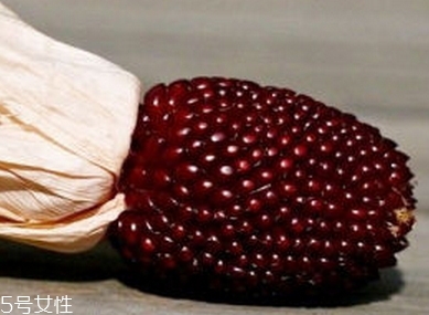 草莓玉米多少錢(qián)一斤？酷似草莓的玉米
