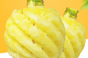 泰國迷你小菠蘿多少錢一斤？mini小菠蘿火遍泰國