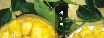 榴蓮蜜哪里能吃？哪里不能吃