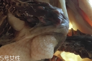 板鴨怎么做好吃？這樣做香氣撲鼻