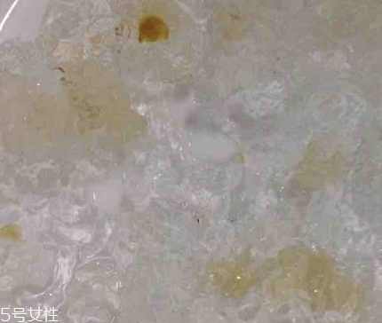 雪燕和桃膠能一起燉嗎？