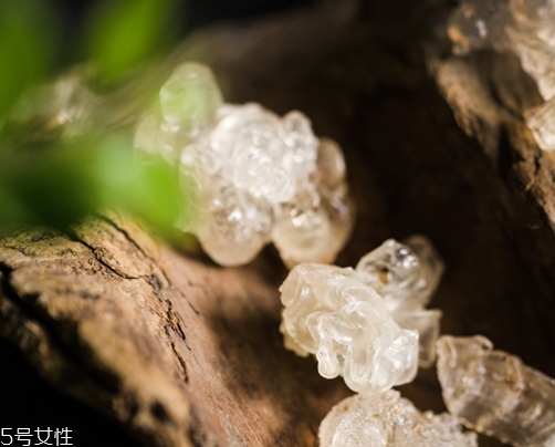 雪燕和銀耳哪個(gè)好？其實(shí)可以一起食用
