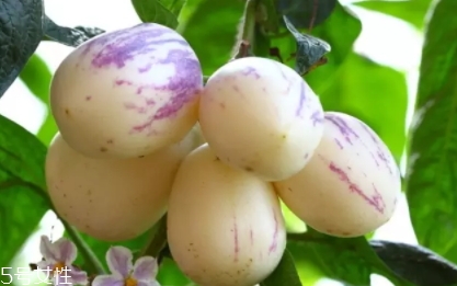 香瓜茄孕婦可以吃嗎？香瓜茄功效多