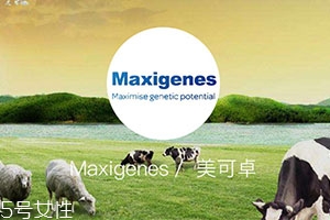 藍(lán)胖子奶粉適合什么人？成人可以喝嗎？