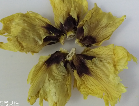 秋葵花怎樣曬干？自然風干最佳