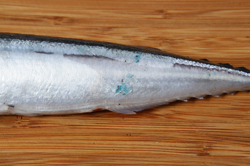 秋刀魚怎么處理？秋刀魚怎么挑選