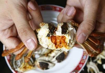 陽澄湖大閘蟹怎么吃？食陽澄湖大閘蟹注意事項