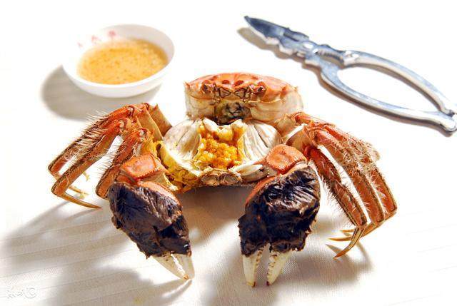 陽澄湖大閘蟹怎么吃？食陽澄湖大閘蟹注意事項