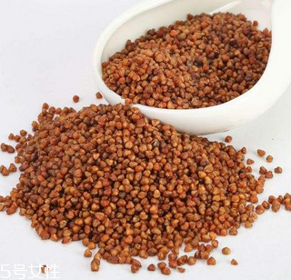 黑苦蕎茶上火嗎？蒸煮法苦蕎茶不上火