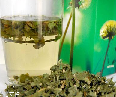 蒲公英茶可以天天喝嗎？不要長期喝