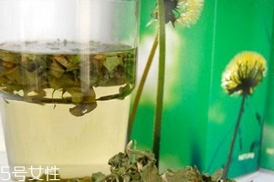蒲公英茶哪些人不宜喝？這三種人要避開