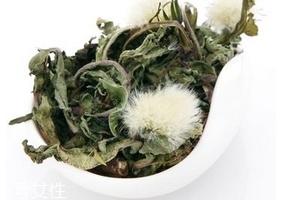 蒲公英茶怎么做？蒲公英茶做法超簡單
