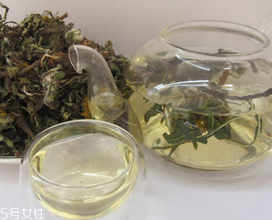 蒲公英茶怎么做？蒲公英茶做法超簡單