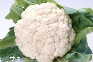 花椰菜吃的是什么部位？花苞部位最營養(yǎng)