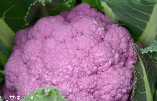花菜在冰箱能放幾天？不要超過(guò)7天