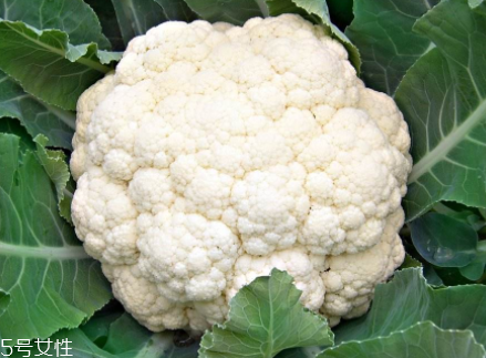 花菜在冰箱能放幾天？不要超過(guò)7天