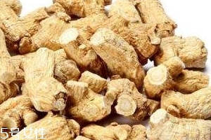 西洋參是哪里產(chǎn)的？長白山為主要產(chǎn)地
