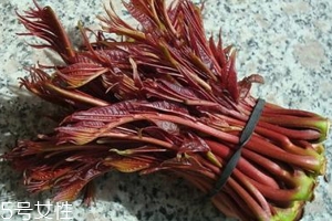 香椿涼拌怎么做好吃？超級簡單的3道開胃菜
