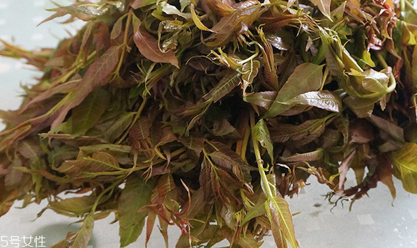 香椿水餃怎么做好吃？超詳細(xì)香椿豆腐餃子做法