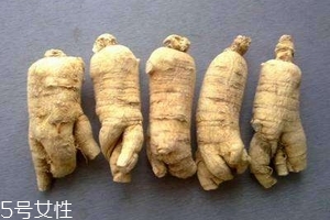 西洋參會回奶嗎？不用擔心這個問題