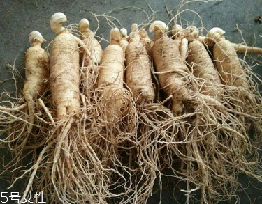 西洋參會(huì)推遲月經(jīng)嗎？這個(gè)是有可能的
