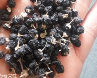 黑枸杞去濕氣嗎？沒有這個功效