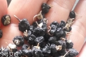 黑枸杞為什么是藍色？花青素的原因