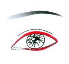 先畫(huà)眼影還是先畫(huà)眼線(xiàn)？先畫(huà)眼影不會(huì)讓眼線(xiàn)暈掉