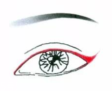 先畫(huà)眼影還是先畫(huà)眼線(xiàn)？先畫(huà)眼影不會(huì)讓眼線(xiàn)暈掉