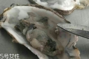生蠔會上火嗎？烤生蠔易上火