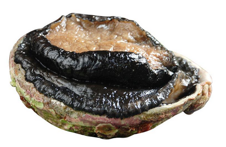 鮑魚罐頭怎么吃？這樣吃最好