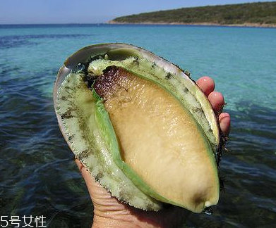 鮑魚罐頭好吃嗎？味道還可以