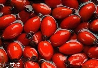 痘痘能用玫瑰果油嗎？愈合之后少量用