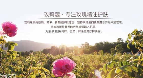 玫莉蔻護(hù)膚品怎么樣？主打玫瑰的護(hù)膚品牌