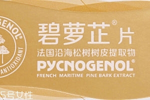 碧蘿芷到底好不好？帶你了解碧蘿芷
