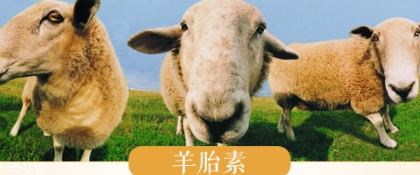 羊胎素和玻尿酸哪個(gè)好？